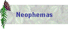 Neophemas